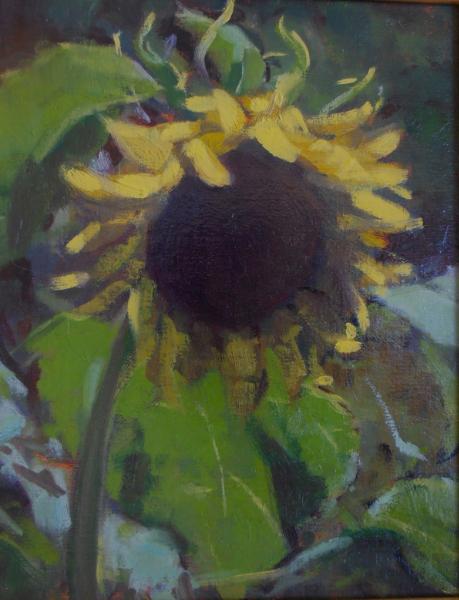 Sunflower 8x10" oil