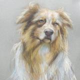 Ausy 16x20" pastel
