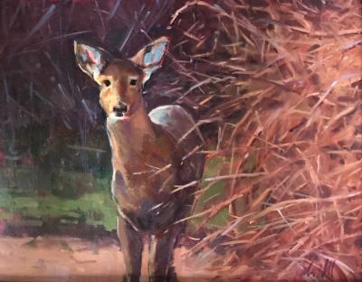 Fawn 16x20" oil