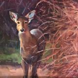 Fawn 16x20" oil