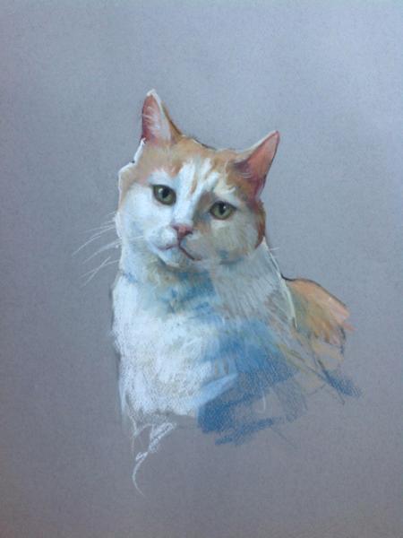 Cat 12x16" pastel