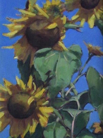Sunflowers 18x36" oil sold
