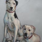 Dalmations 18x24" pastel