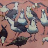 Pink Gulls 18x24" oil  sold