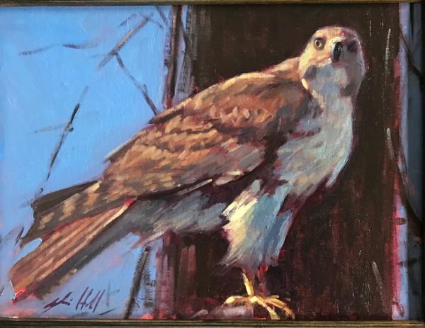 Red Hawk 12x16" sold