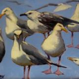 Blue Gulls 16x20"  oil