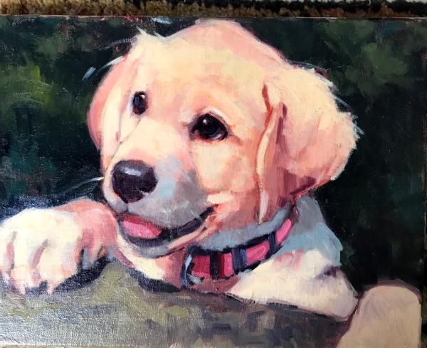 Puppy 12x16 oil