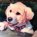 Puppy 12x16 oil