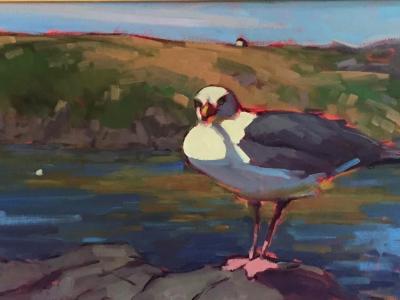 Gull and Manana 12x36" oil