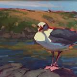 Gull and Manana 12x36" oil