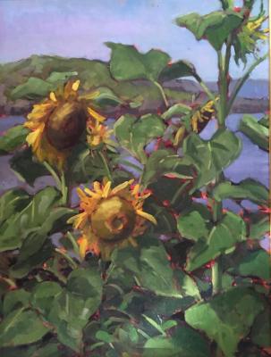  Sunflowers at the Barnacle 18x24" sold
