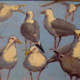 Blue Gulls  16x20" oil sold