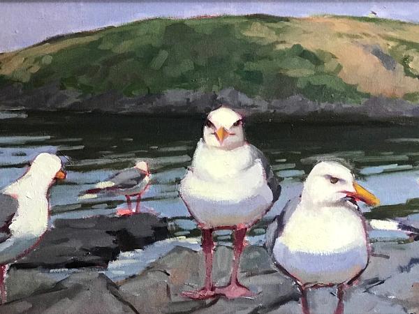 Manana Gulls, Cloudy day 12x24" oil sold