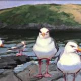 Manana Gulls, Cloudy day 12x24" oil sold