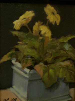 Gerber Daisies  12"x16"  oil