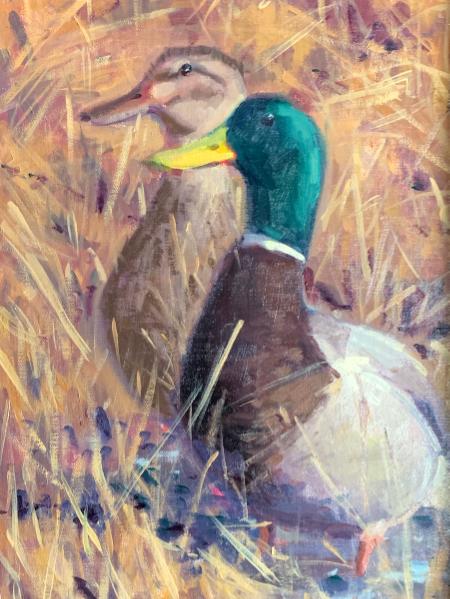 Duck Couple 9x12" oil