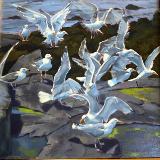 Fish Beach Gulls 30x30" oil