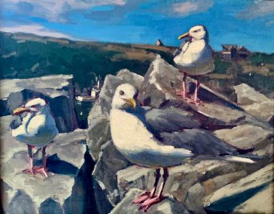 Jetty Gulls 16x20" oil