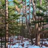 March Woods 30x40"
