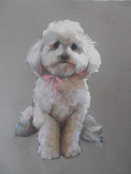 Fluffy 16x20" pastel