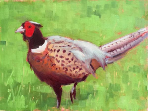 Don's Pheasant 8x10" oil