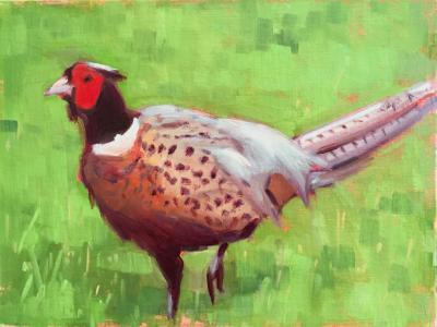 Don's Pheasant 8x10" oil