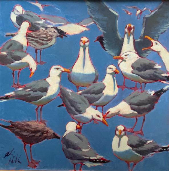 Big Blue Gulls 30x30" oil