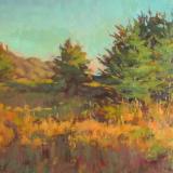 Christmas Cove 16x20" oil